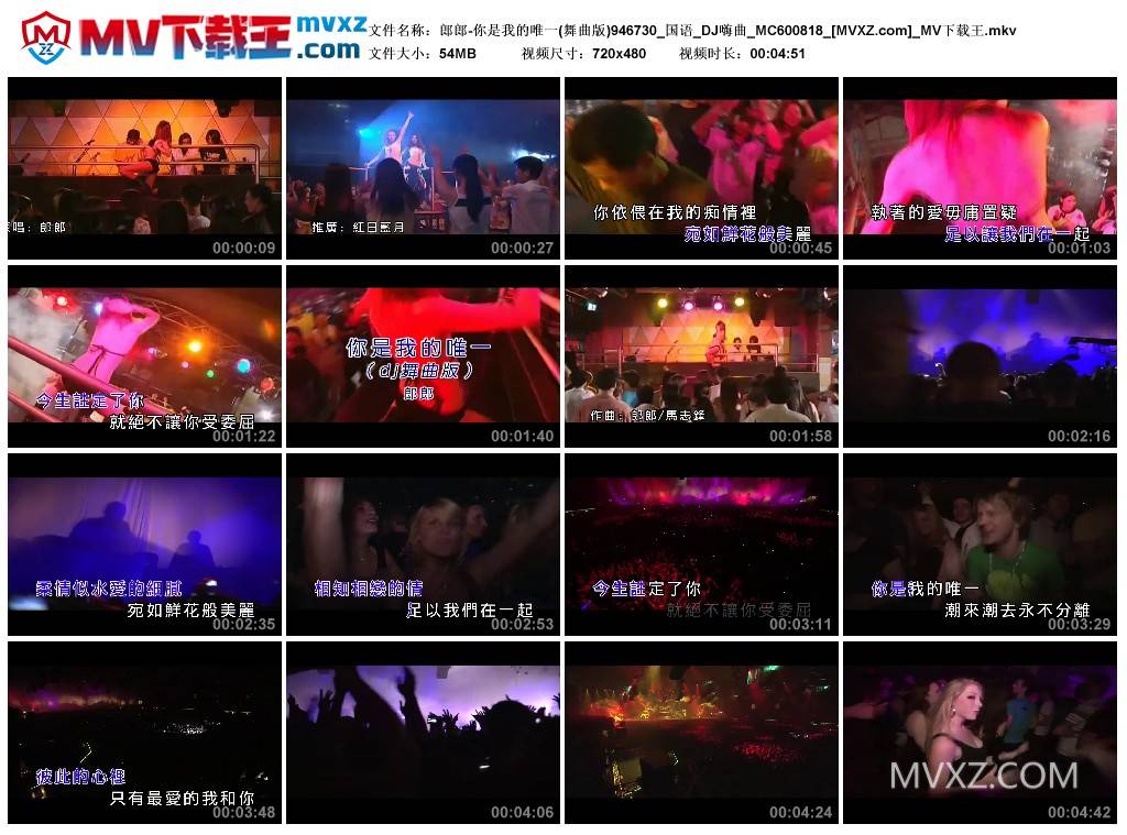 郎郎-你是我的唯一(舞曲版)946730_国语_DJ嗨曲_MC600818